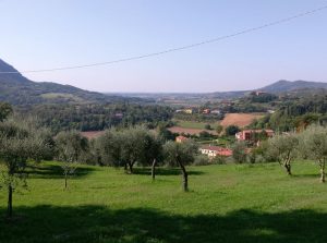 Menu primavera estate ristorante I Ronchi Arquà Petrarca Colli Euganei