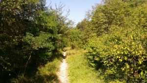 Sentiero Monte Calbarina Arquà Petrarca