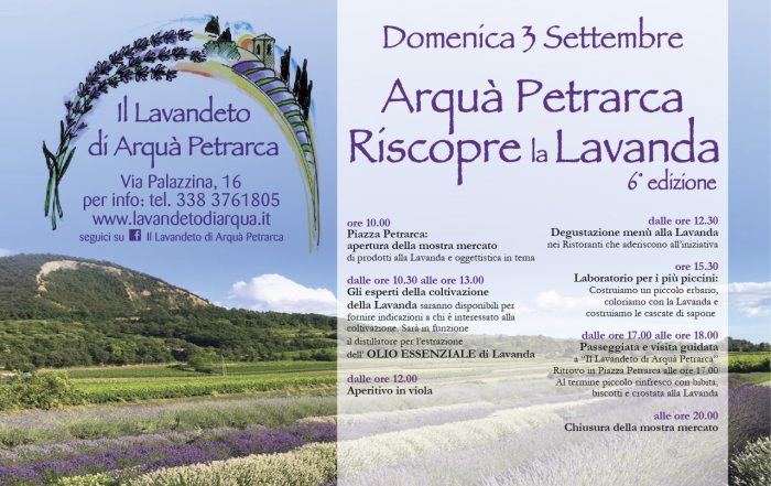 Lavanda Euganeamente